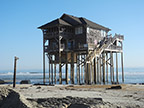 Beach House