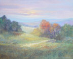 Field370