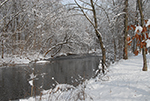 Winter Snow