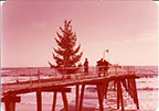 Xmass12
