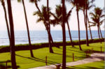 Hawaii Walk 