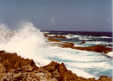 Ocean1