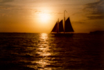 Sail at sunset